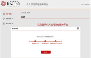 超重磅！史上最严征信系统正式上线，影响深远，手把手教您查询